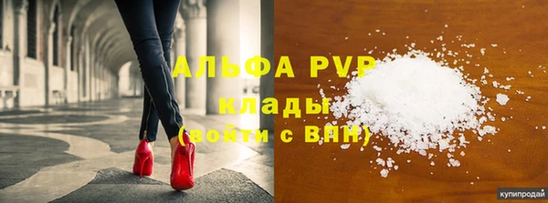 СК Аркадак