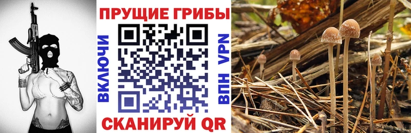 Галлюциногенные грибы GOLDEN TEACHER  Малоархангельск 