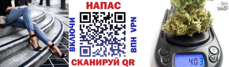 Бошки Шишки ГИДРОПОН Малоархангельск